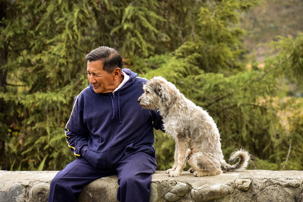 犬の熱中症対策に最適な折りたたみテントはどれですか？