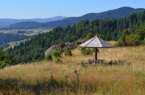 ガーデニングで活用する日除け用ネックカバーの選び方は？