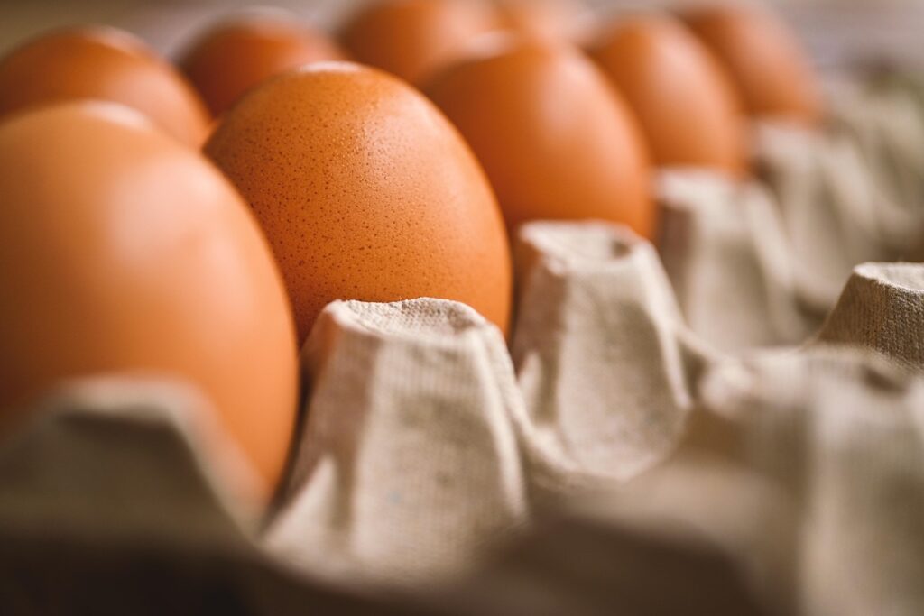 冷凍ペットボトルを使った保冷効果の高いホルダーは？