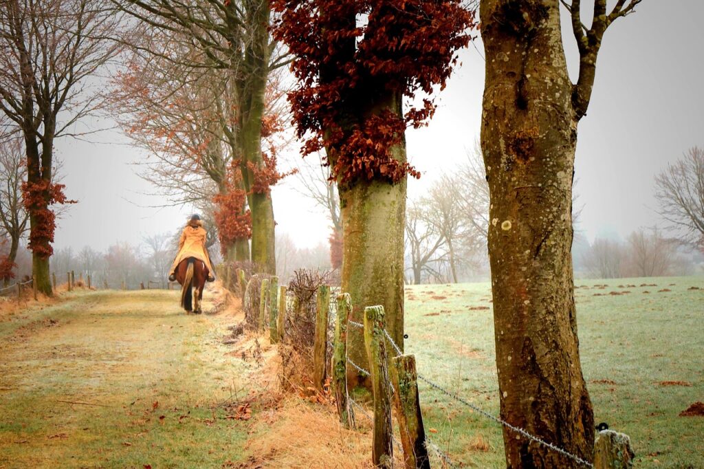 猛暑日を乗り切るためのおすすめグッズは会社でどれが人気？