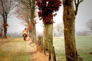 猛暑日を乗り切るためのおすすめグッズは会社でどれが人気？