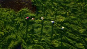 農作業で使える帽子と扇風機の一体型アイテムは？