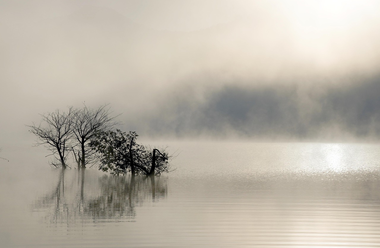 クールウォーターのミストシャワーで爽快感を得る方法は？