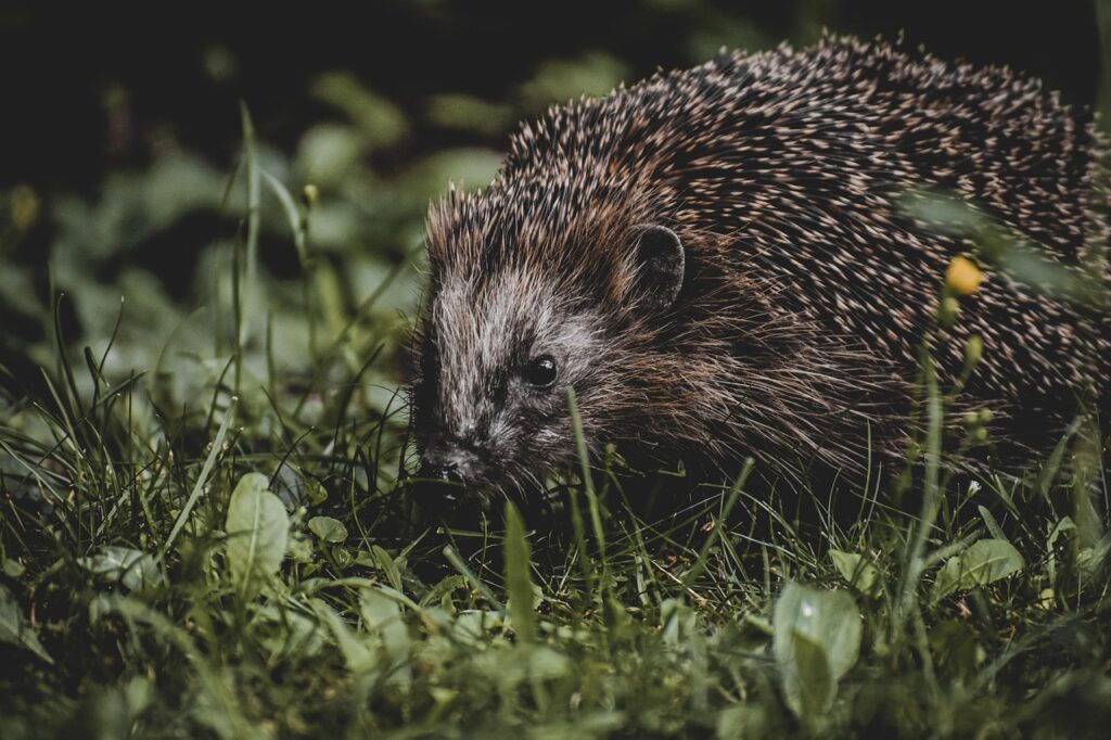 クーリングスプレーの即効性はどのくらいなのか？