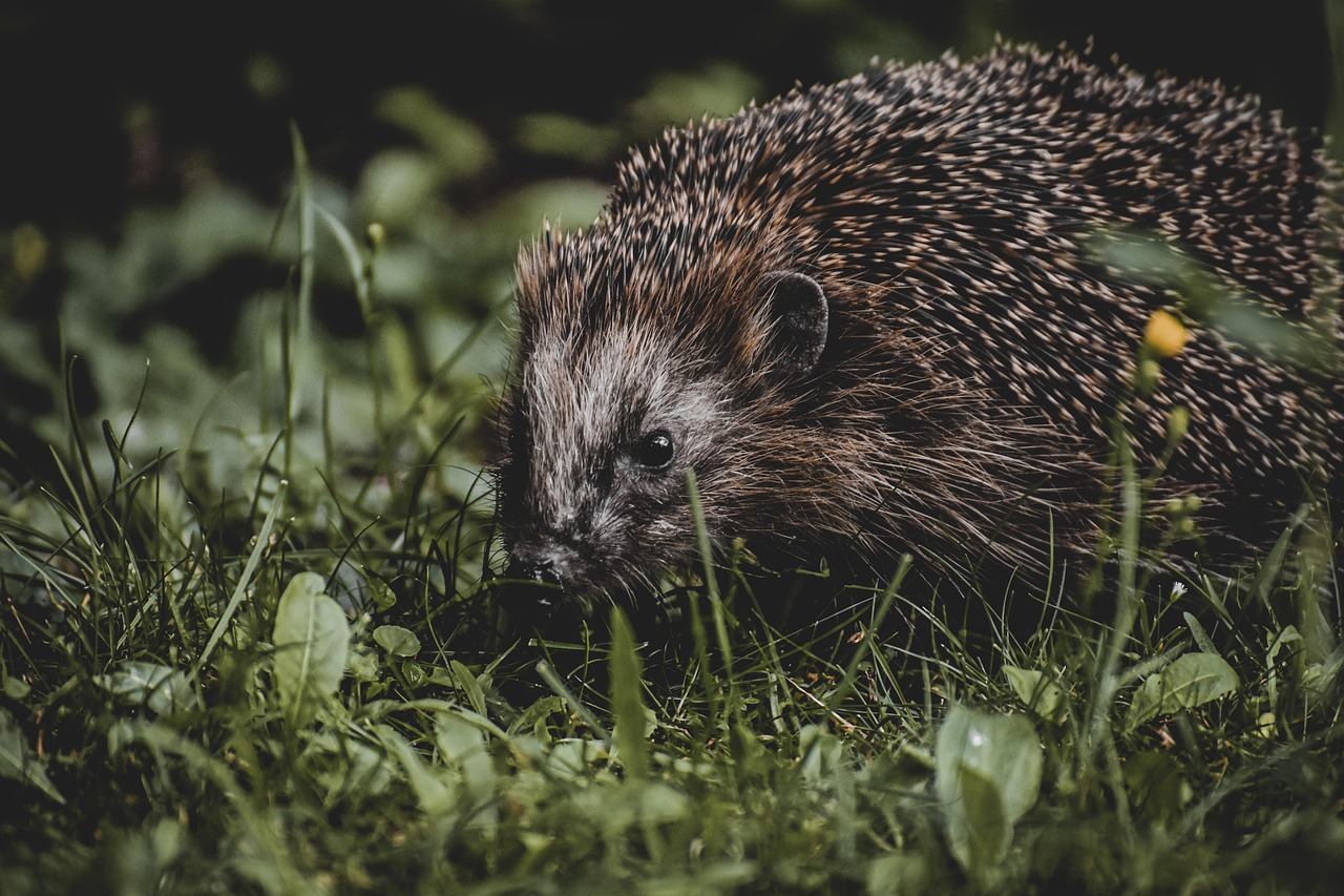 クーリングスプレーの即効性はどのくらいなのか？