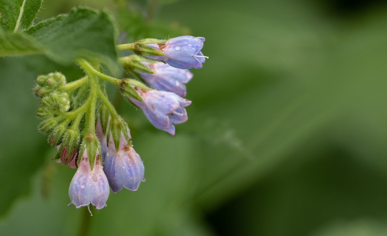 熱中症対策におすすめのグッズは何ですか？