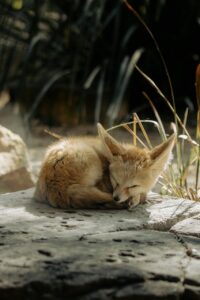 ネッククーラーの選び方を初心者が知っておくべきポイントは？