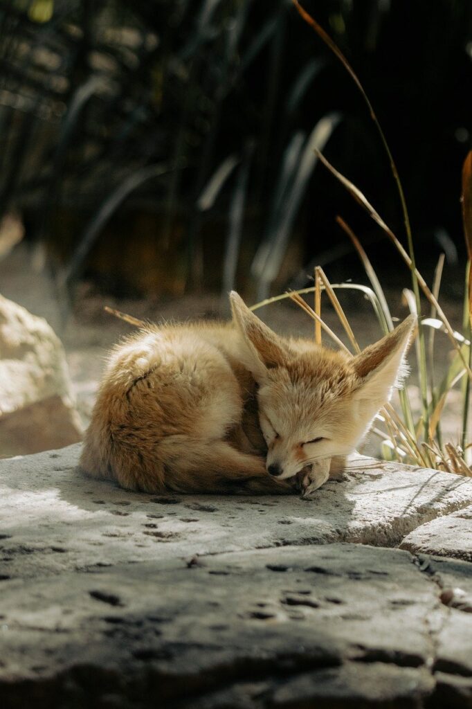 ネッククーラーの選び方を初心者が知っておくべきポイントは？