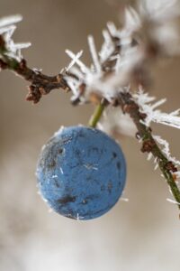 携帯氷のうを通勤時に便利に使う方法は？