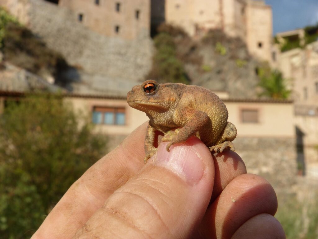 肌荒れしない冷却スプレーの選び方は？