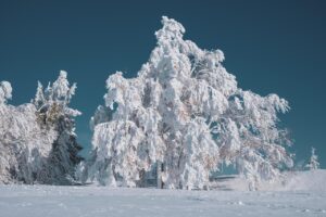 首に巻く保冷剤と氷のうの違いは何ですか？