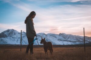熱中症対策に必要な犬の散歩時の持ち物は？